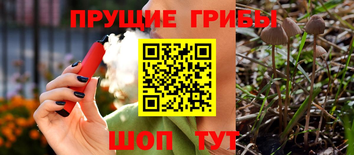 Псилоцибиновые грибы мицелий Узловая