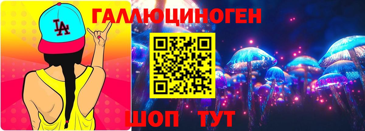 Узловая  Галлюциногенные грибы GOLDEN TEACHER  Вход с VPN 